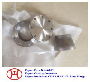 ASTM A182 F317L بلائنڈ فلینج