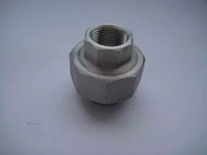 مصر دات  800 H Incoloy  800 H جعلی ساکٹ تھریڈڈ پلگ نپل باس یونین داخل کریں