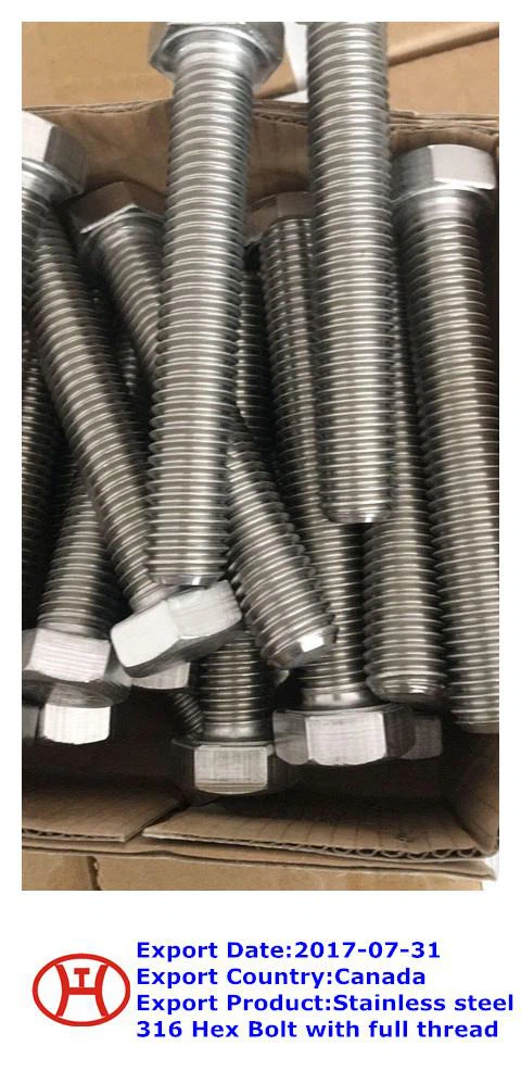 سٹینلیس اسٹیل {{0} Full مکمل تھریڈ والا ہیکس بولٹ