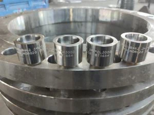 ملاوٹ 20 باس