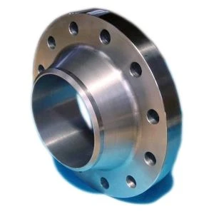 ہسٹیلوائے B2 WN FLANGE